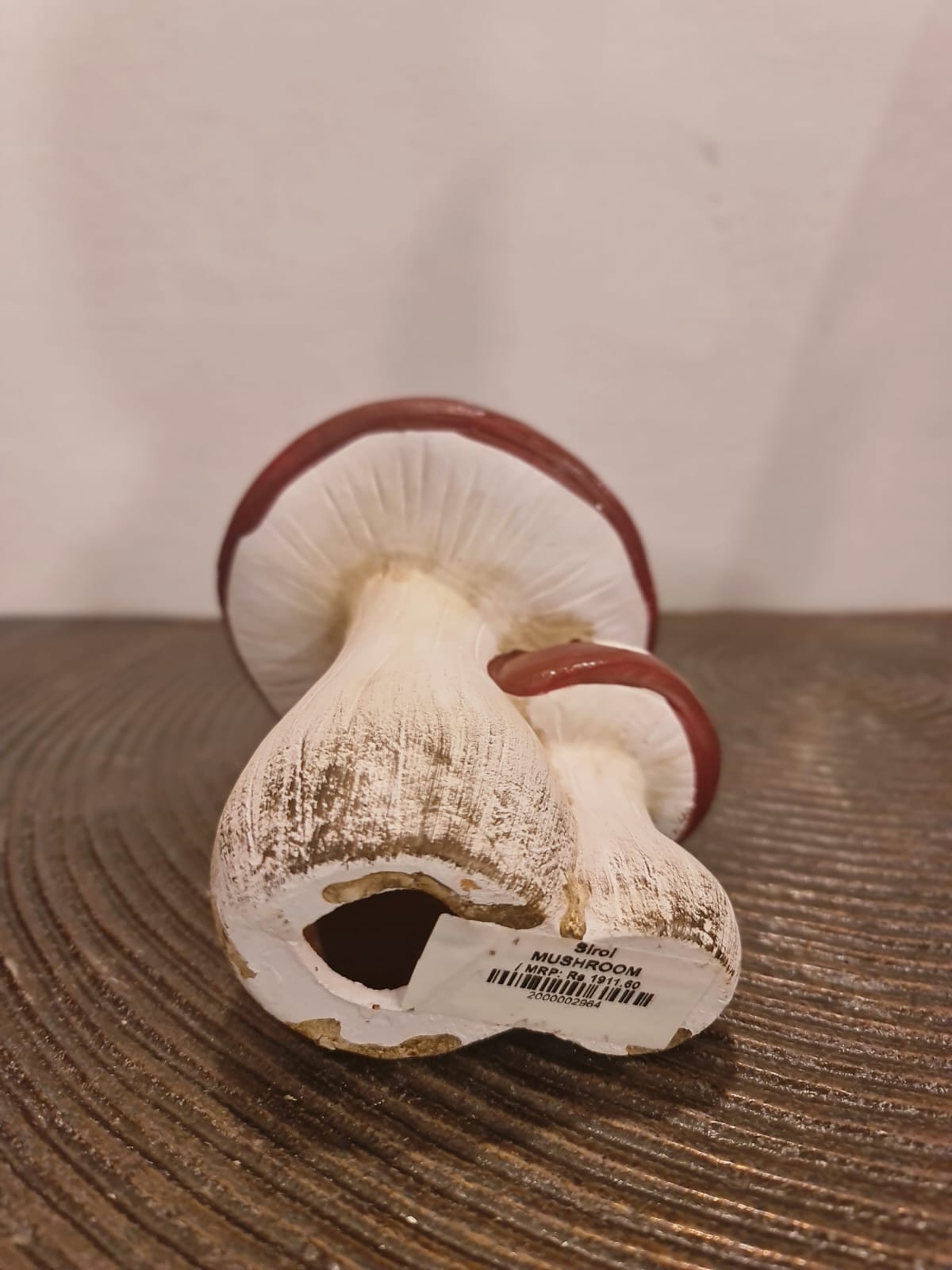 Mushroom
