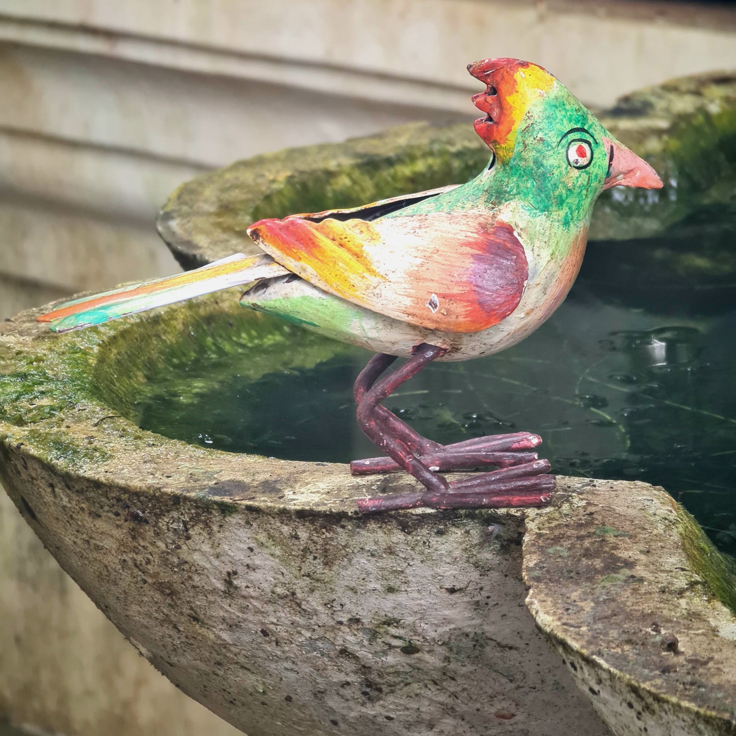 Iron Bird