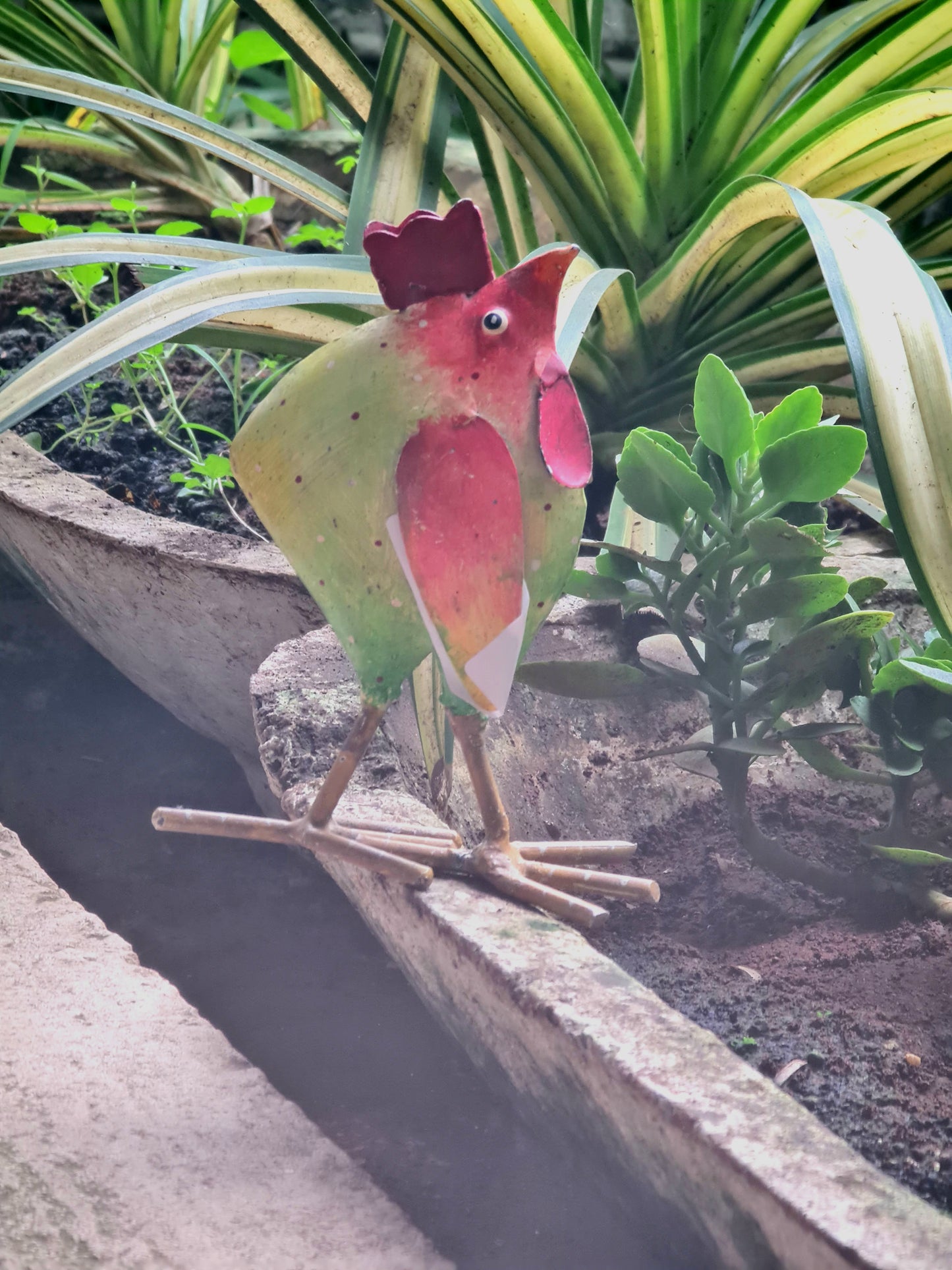 Iron Rooster Small