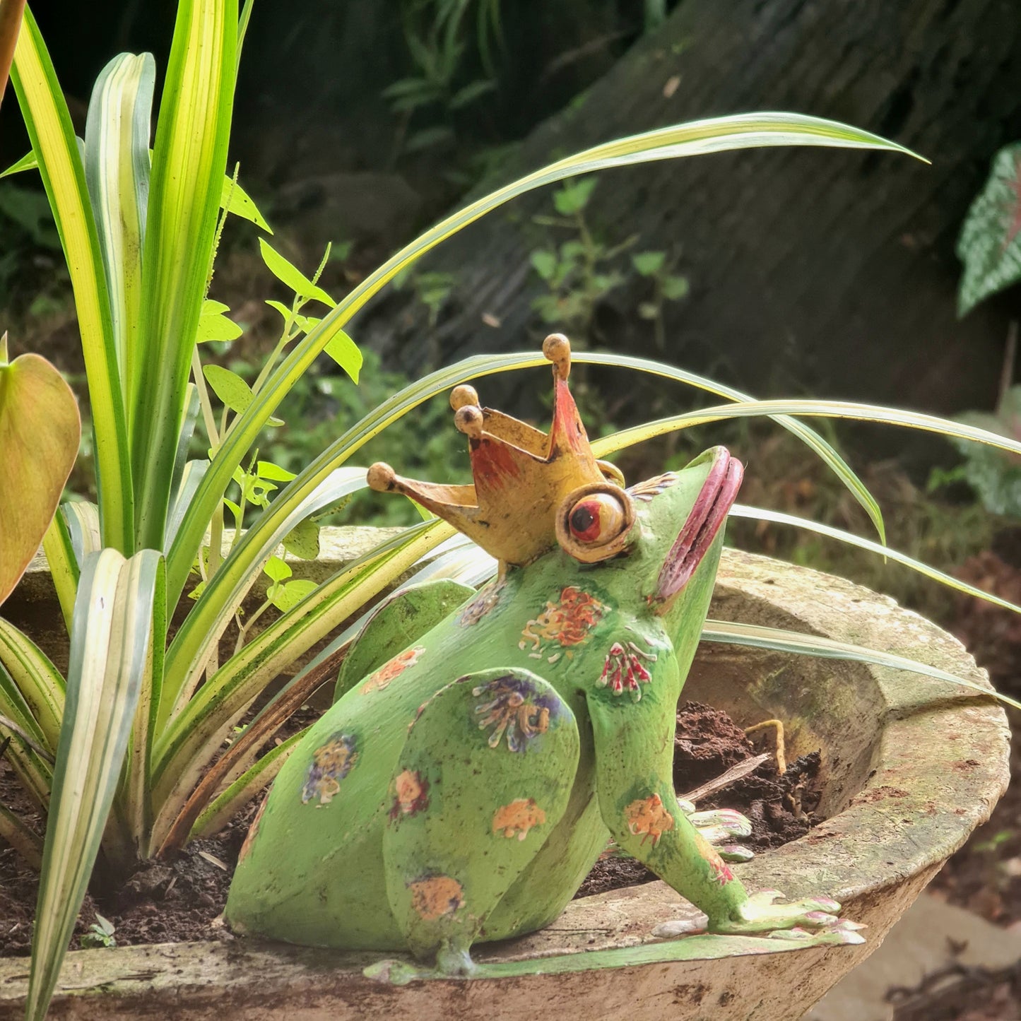 Iron Frog With Crown