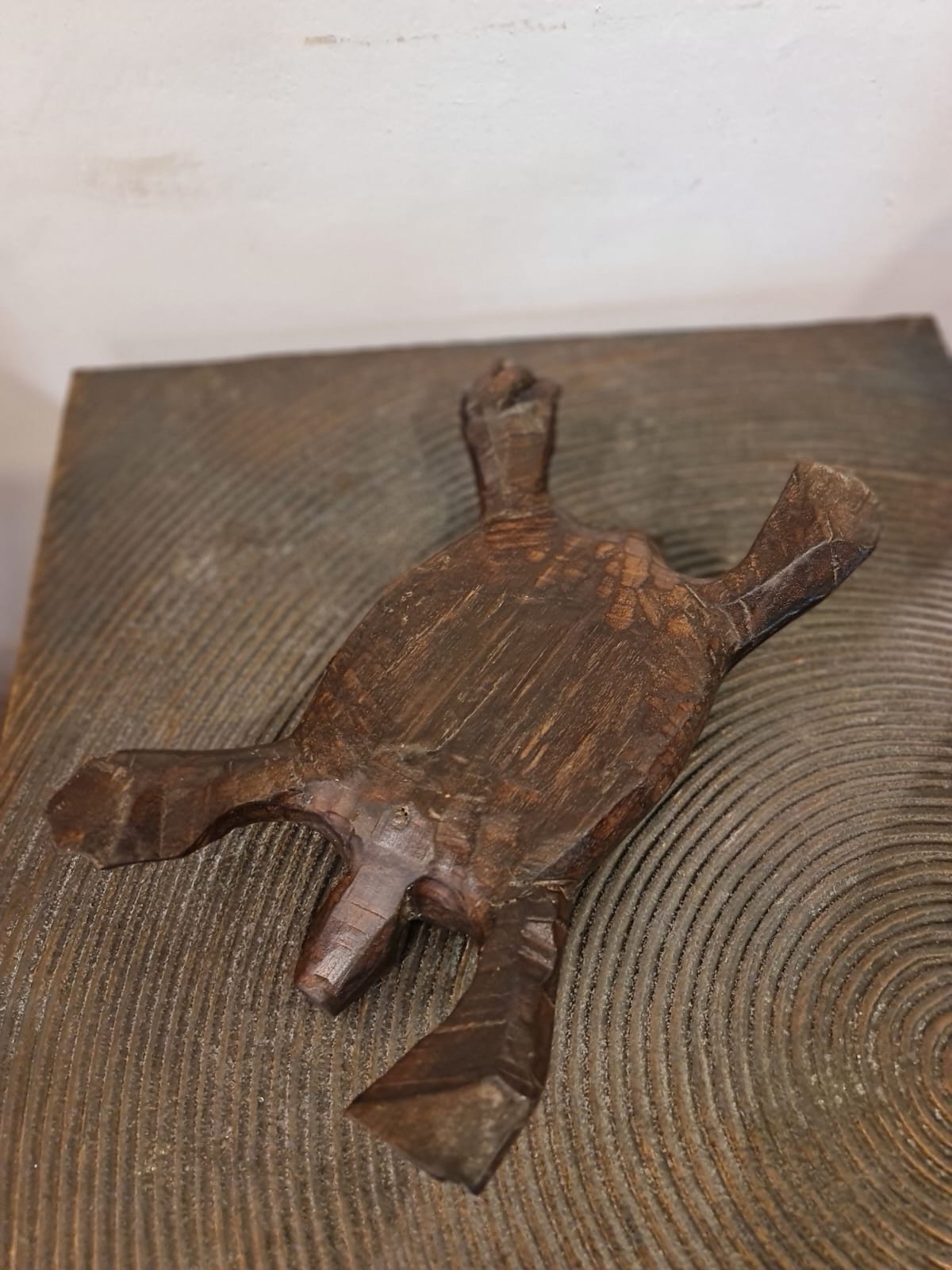 Wooden Turtle