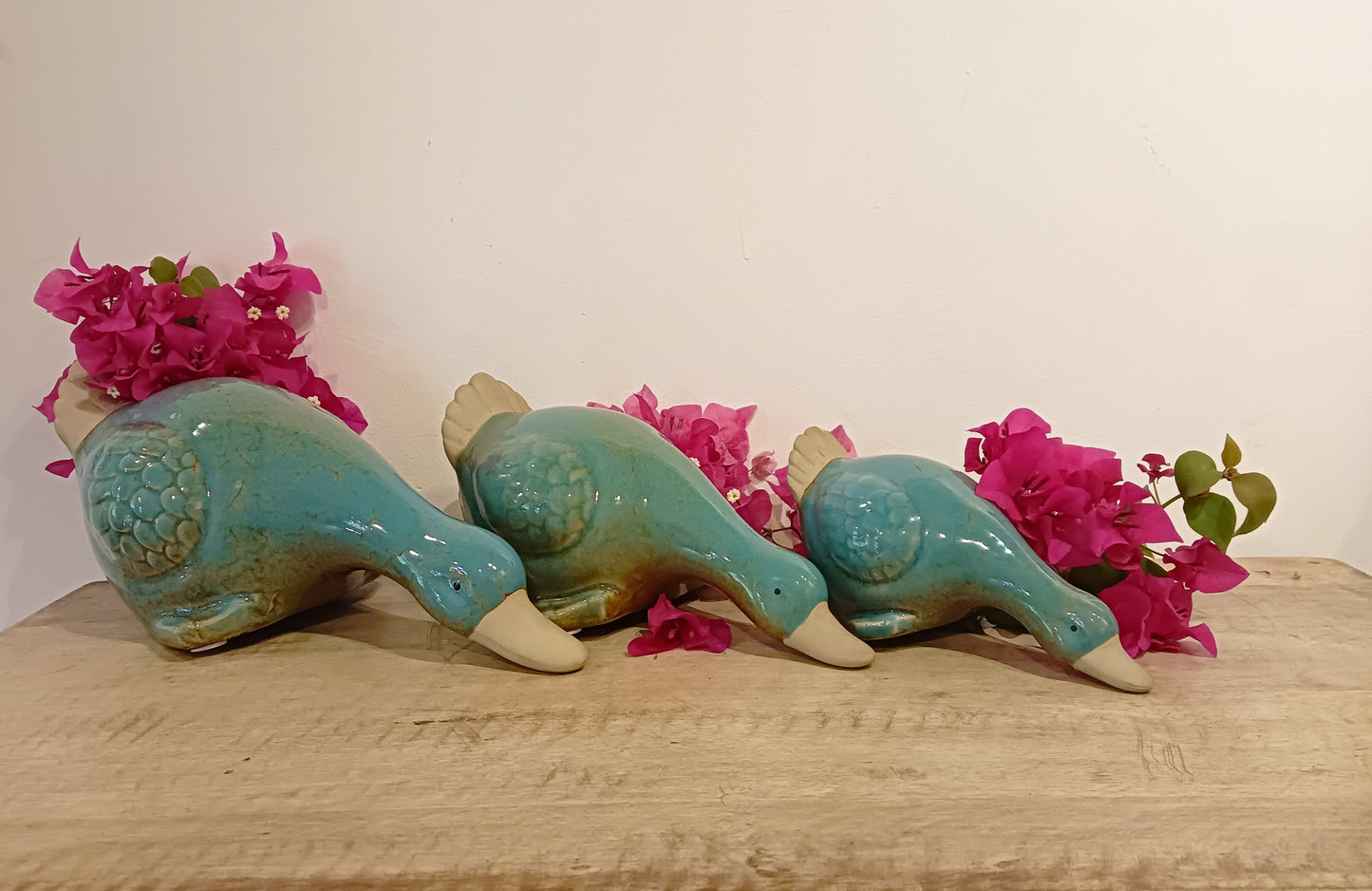 DUCKS SHOWPIECE