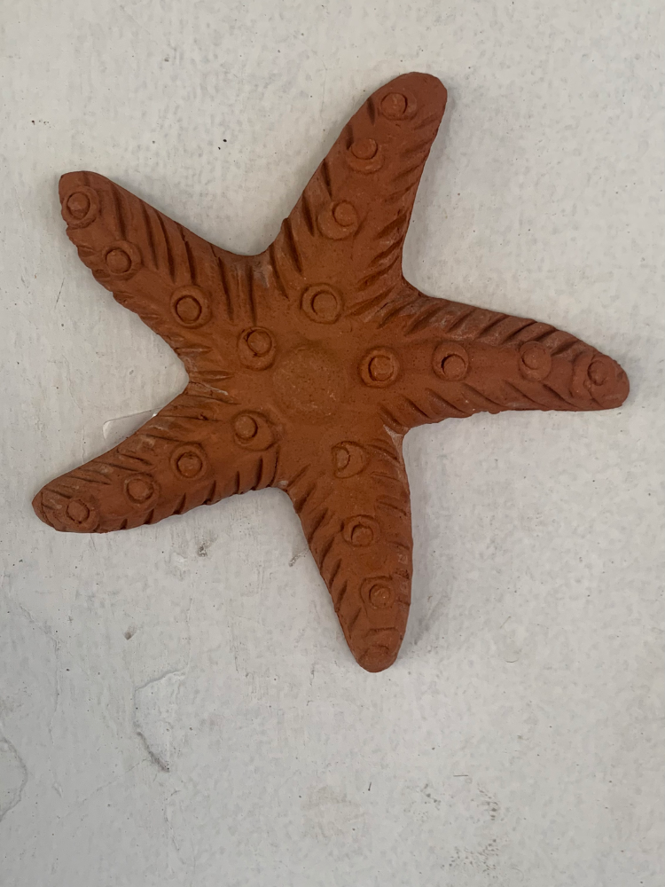 Terracotta Starfish