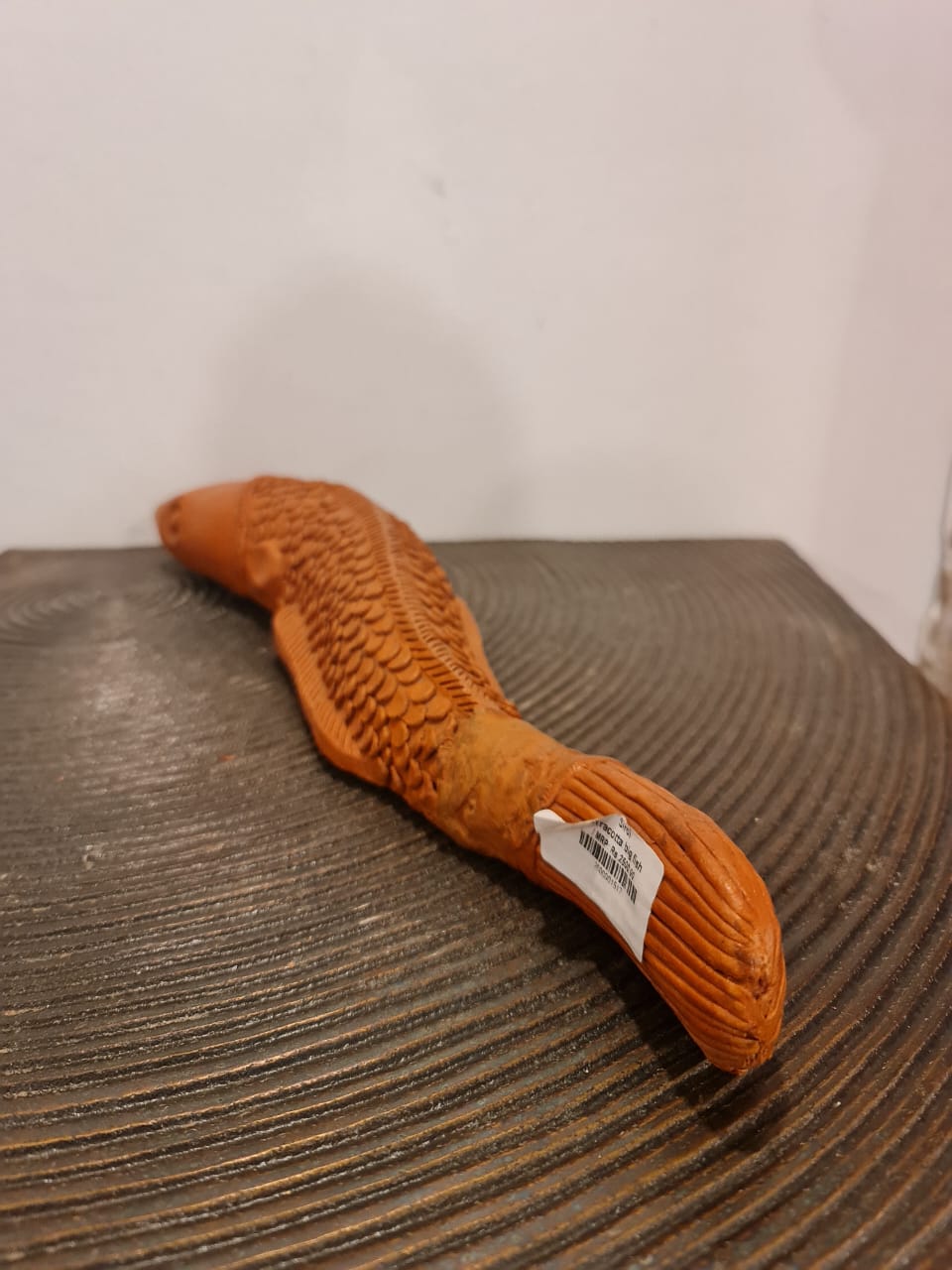 Terracotta Eel