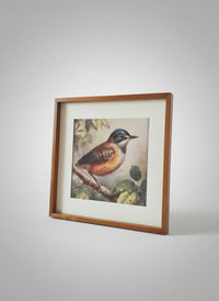 Bird Frame