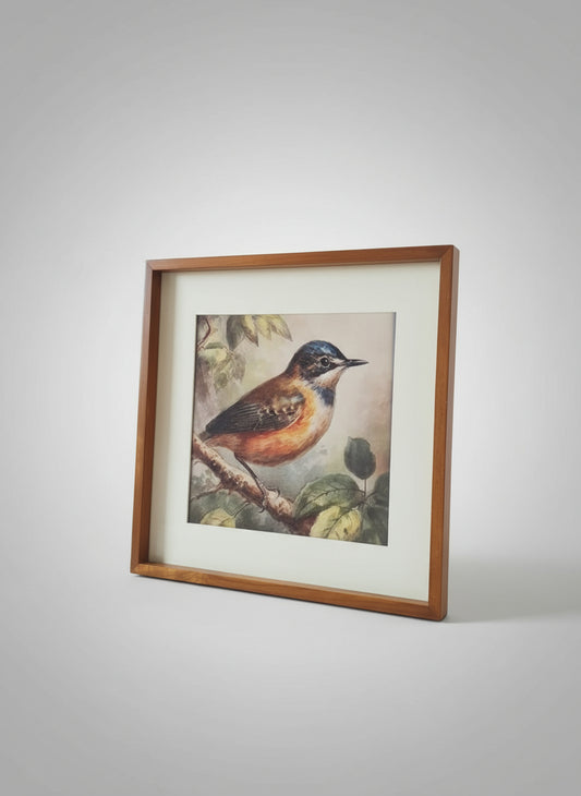 Bird Frame