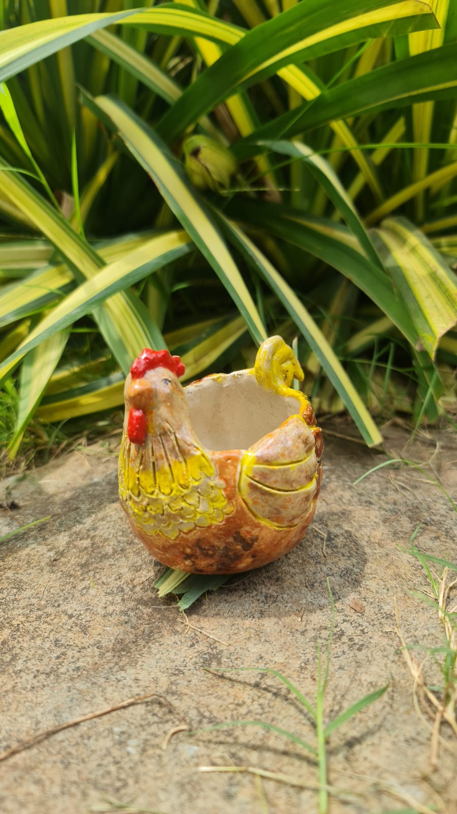 Mini Hen