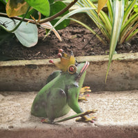 Iron Frog