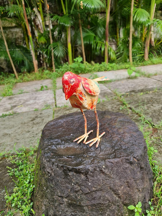 Iron Red Small Bird