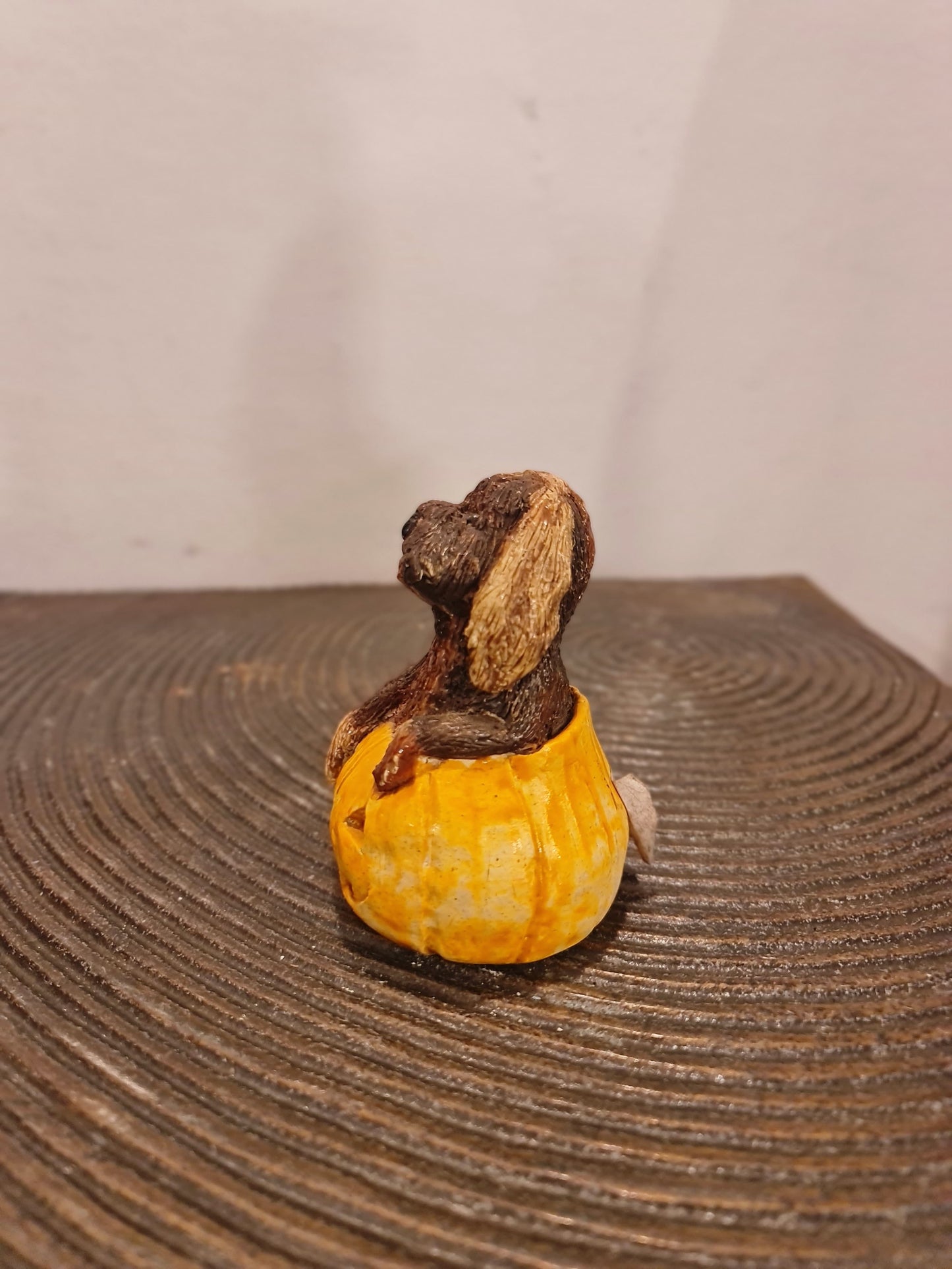 Pumpkin Dog