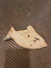 Medium Fish