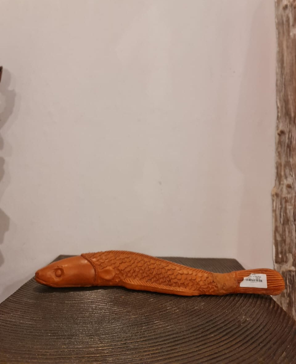 Terracotta Eel