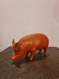 Terracotta Pig