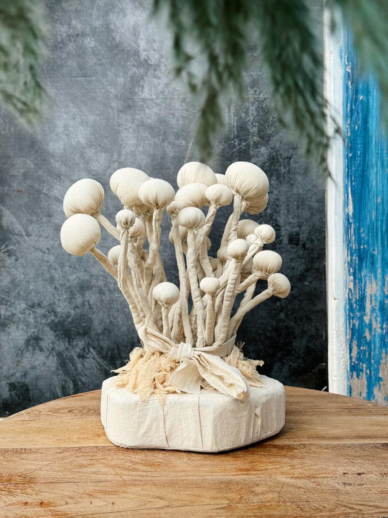 Porcini Mushroom