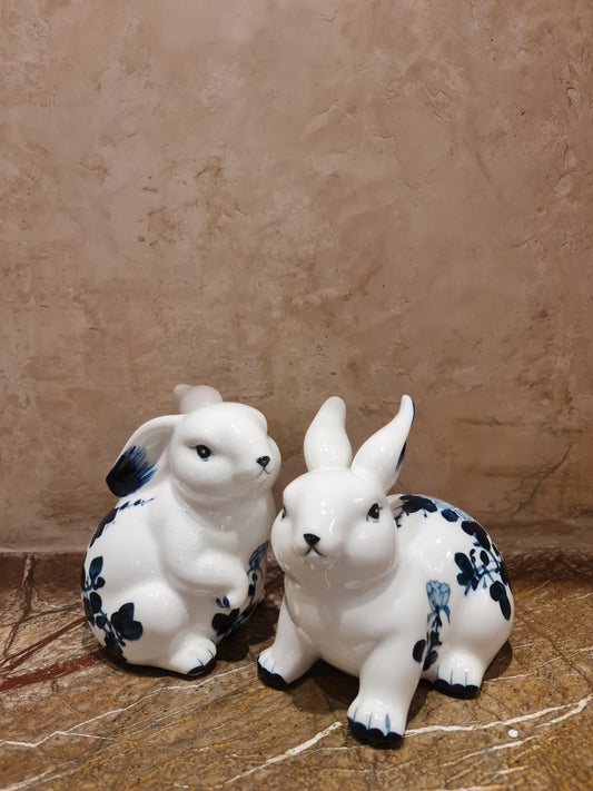 Rabbit Pair