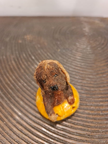 Pumpkin Dog