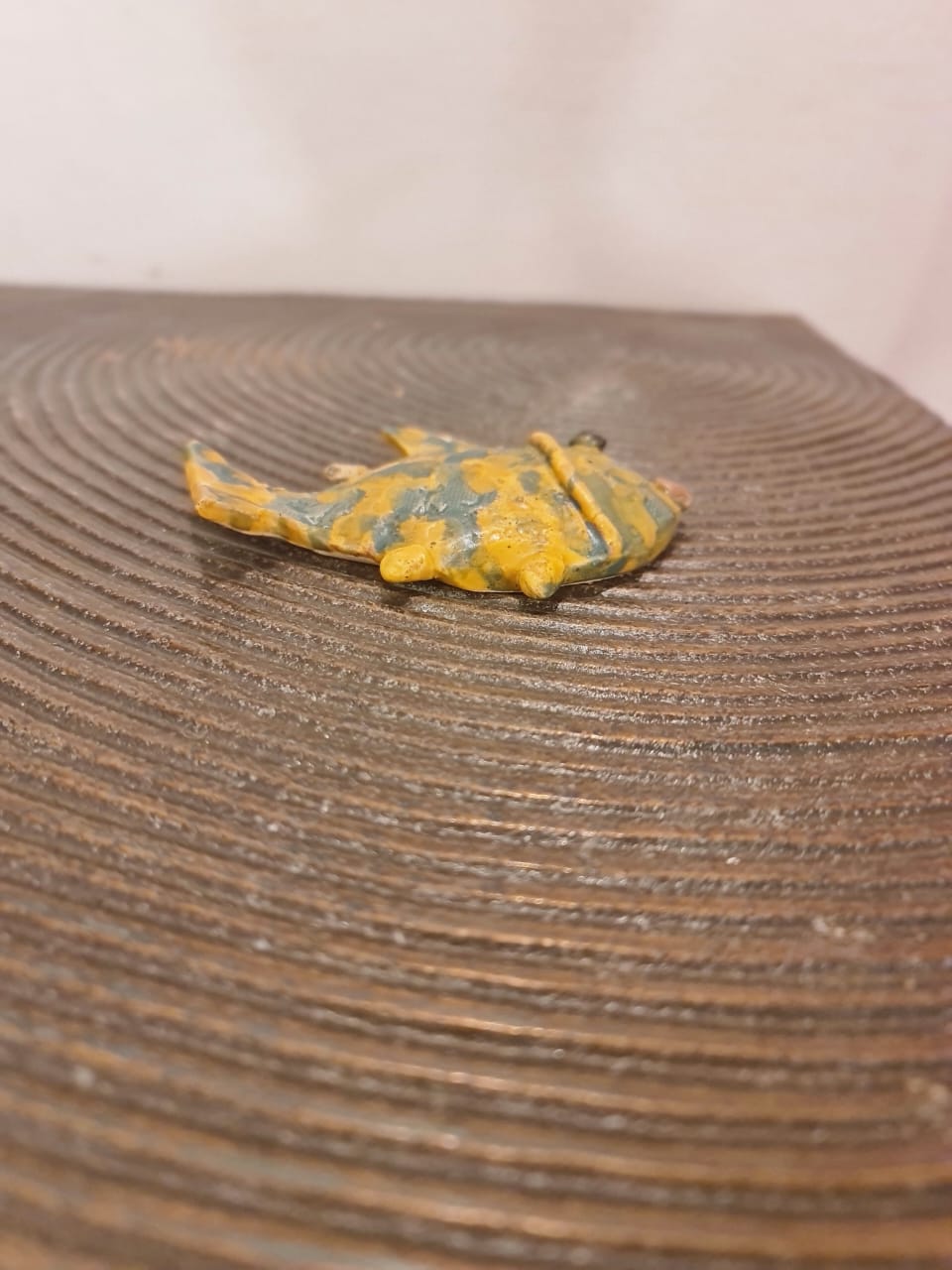 Small Fish Hanging