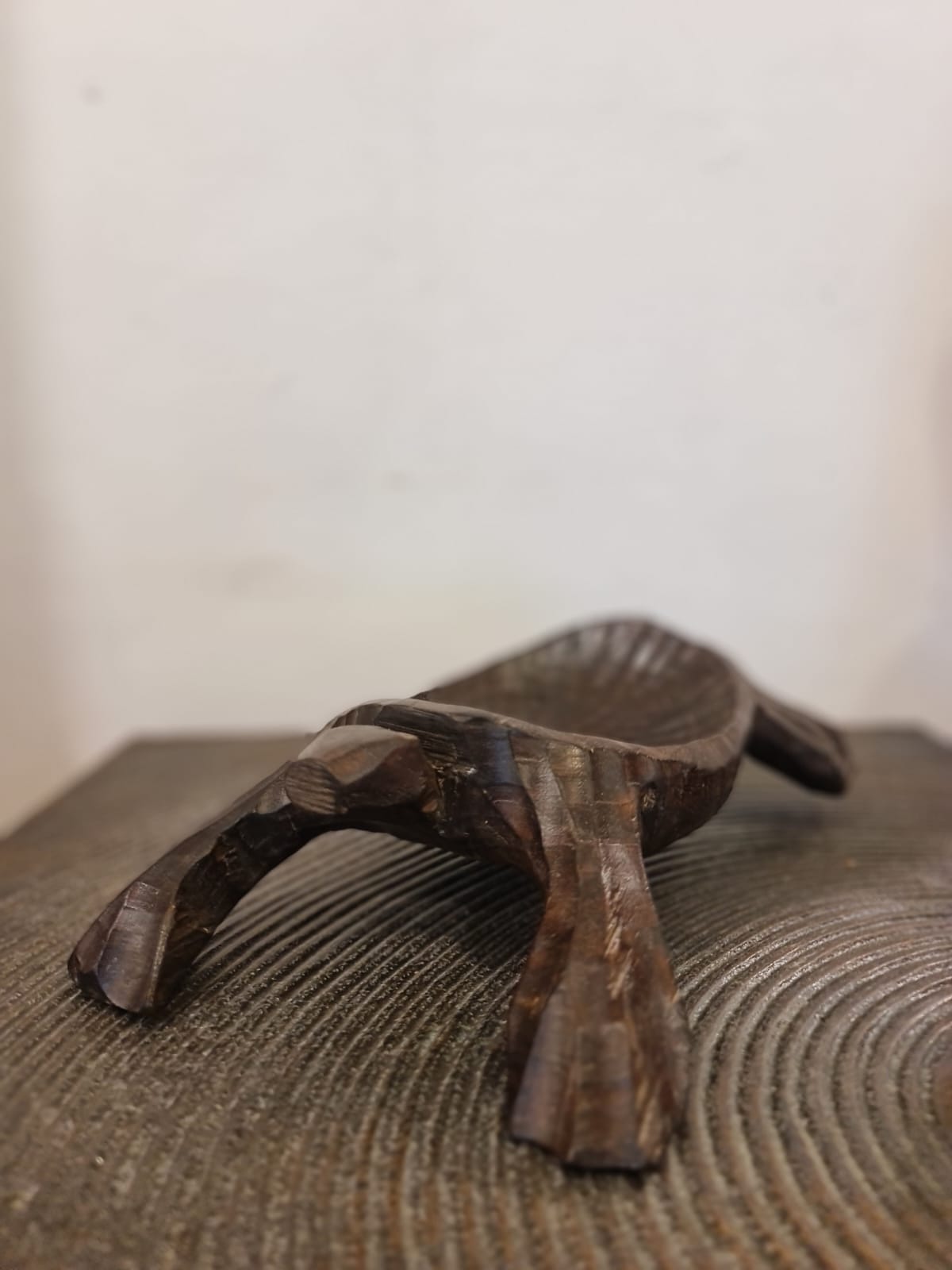 Wooden Turtle