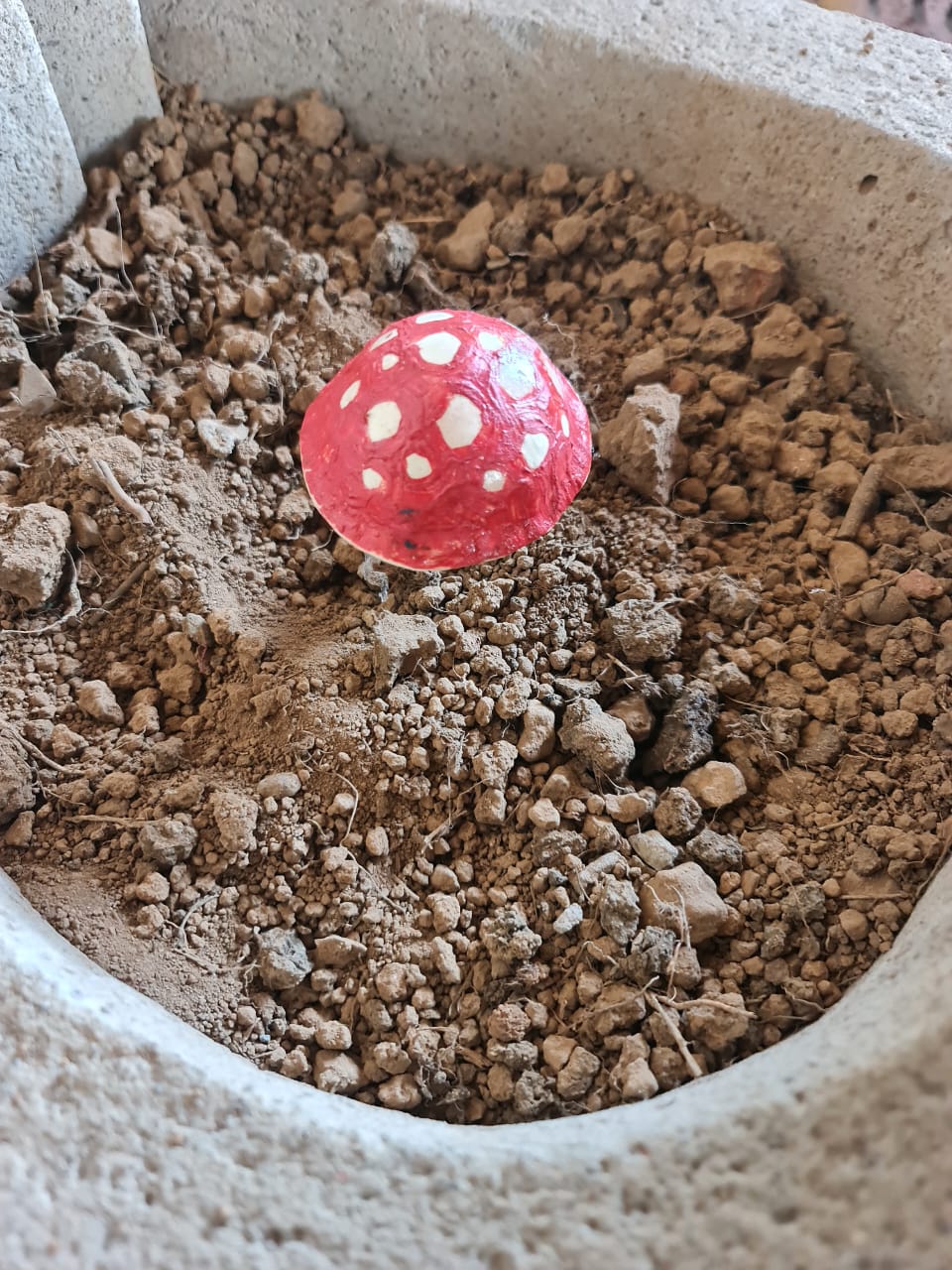 Ceramic mushroom