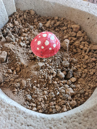 Ceramic mushroom