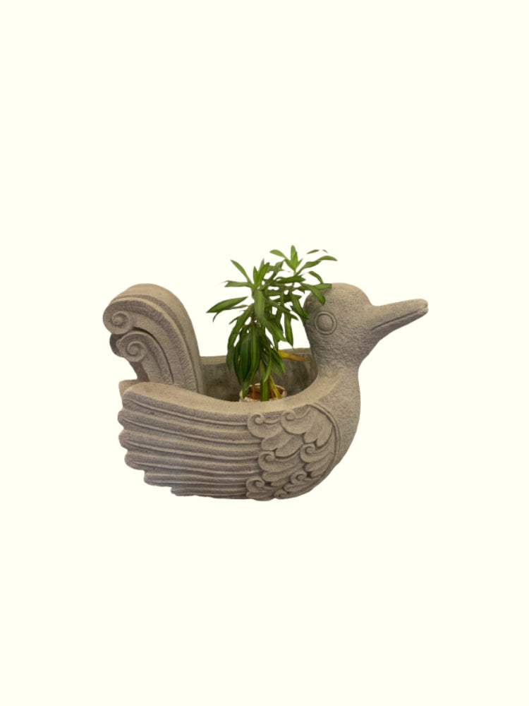 Smiling Duck Planter