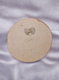 Lotus Ceramic