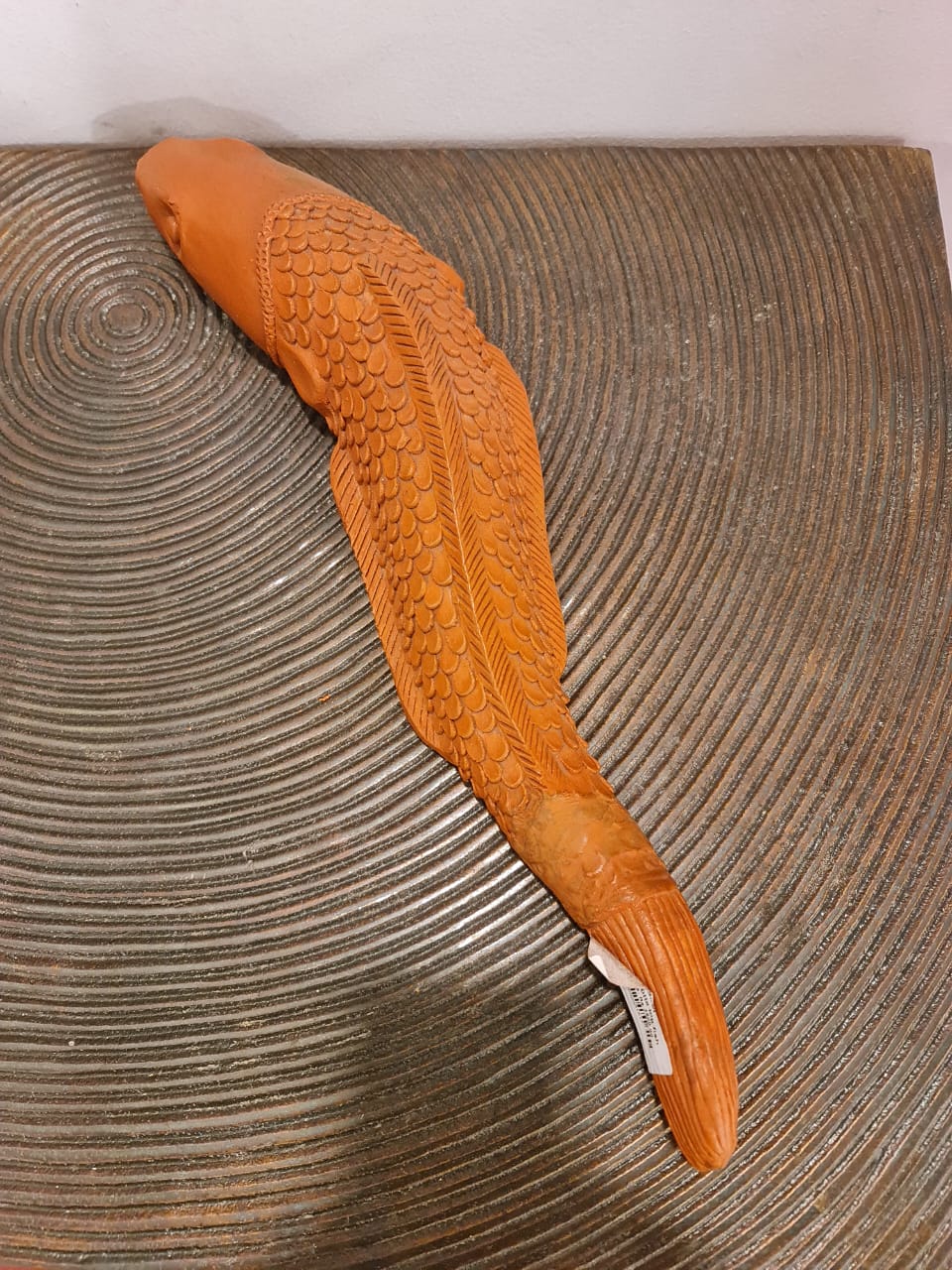Terracotta Eel