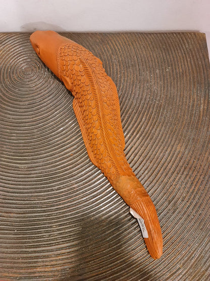 Terracotta Eel