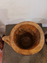 Wooden Kamandle Lizard