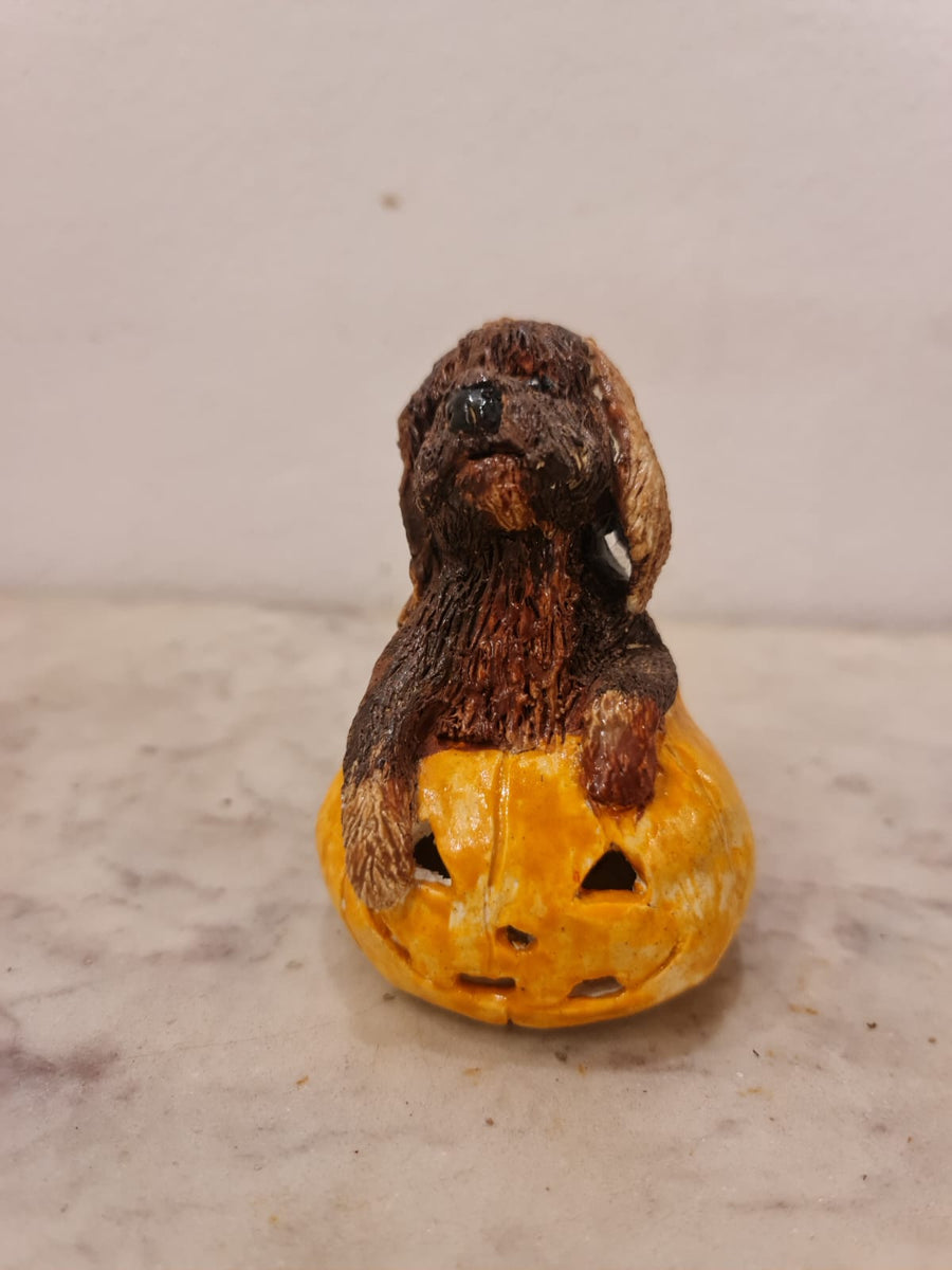 Pumpkin Dog