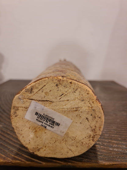 Bottle Vase