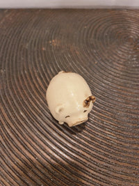 Small Pig