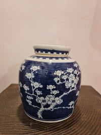 Pot