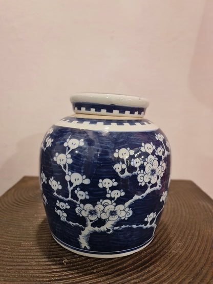 Pot