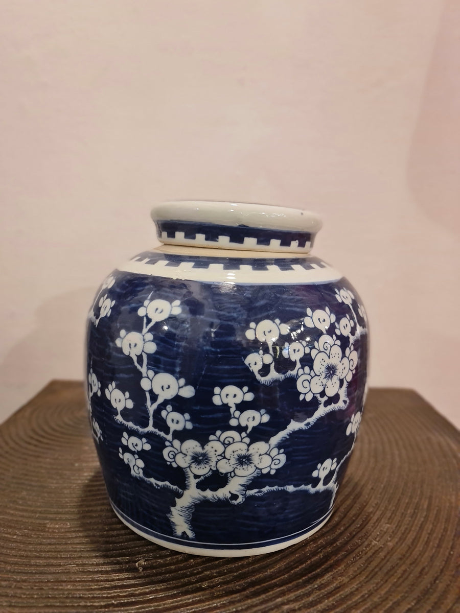 Pot