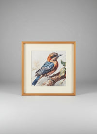 Bird Frame