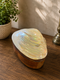 Seashell Wooden Trinket Box