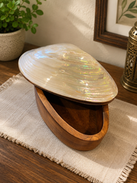 Seashell Wooden Trinket Box