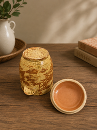 Mushroom Lid Ceramic Jar