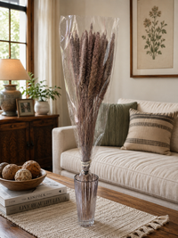 Dry Plants