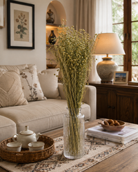 Dry Plants