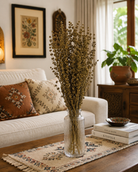 Dry Plants