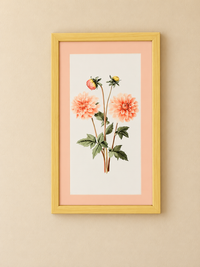 Floral Pink Frames (each)