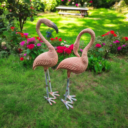 Flamingo Pair