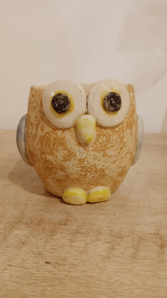 OWL CUP