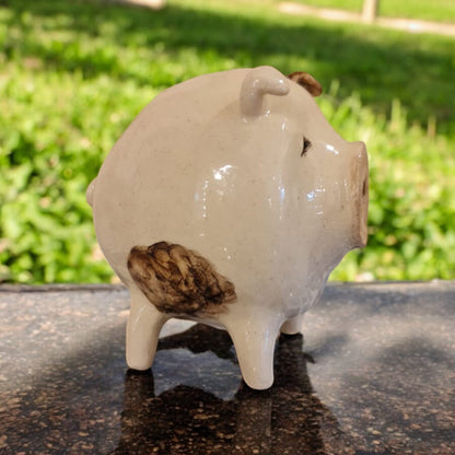 Mini pig