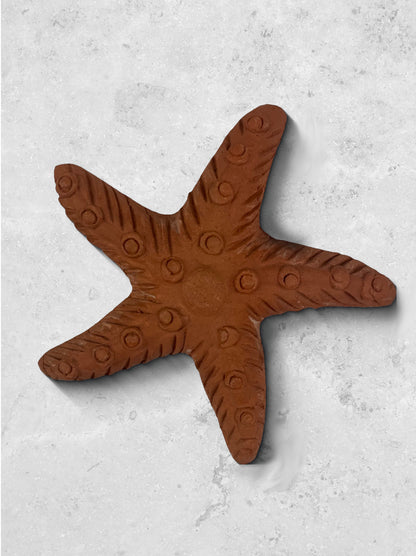 Terracotta Starfish