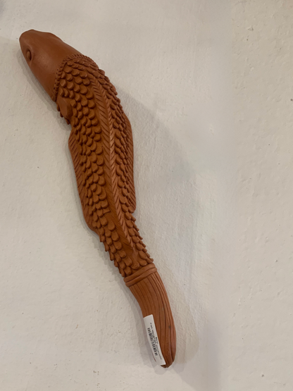 Terracotta Eel