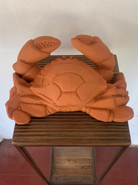 Terracotta Crab