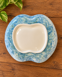 3D Ceramic Swan Bowl | Platter